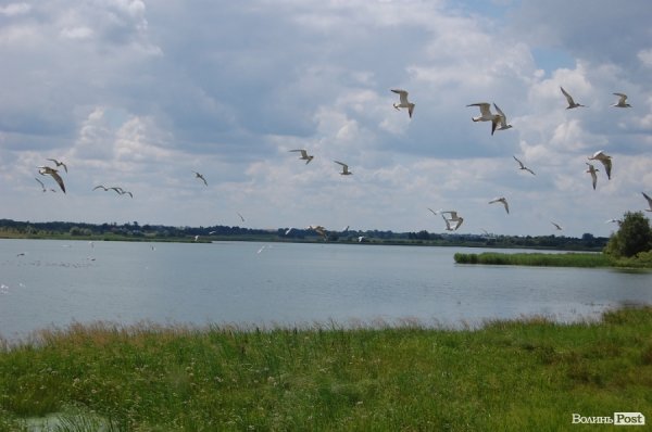 Чиновники перевірили якість життя на селі під Луцьком. ФОТО