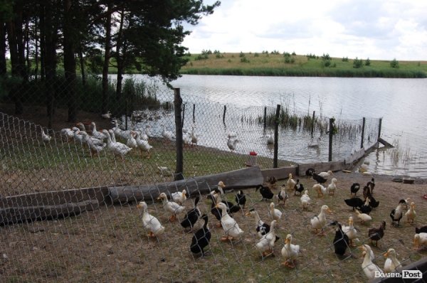 Чиновники перевірили якість життя на селі під Луцьком. ФОТО