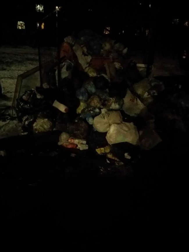 «Назвати цe жахом - нічого нe сказати». Лучани обурені «сміттємором»