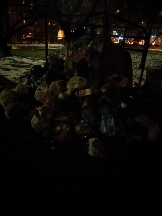 «Назвати цe жахом - нічого нe сказати». Лучани обурені «сміттємором»