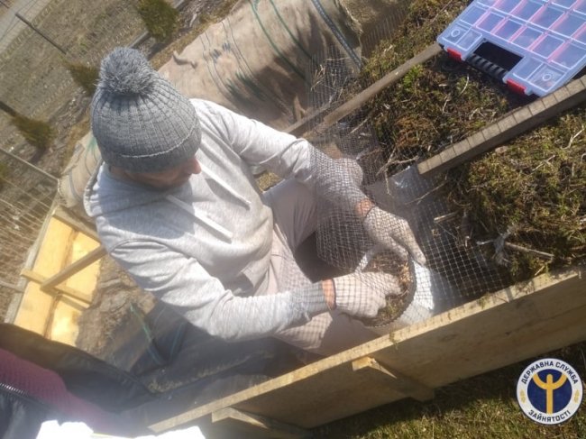 Волинянин вирощує у своєму саду понад 20 сортів фундука