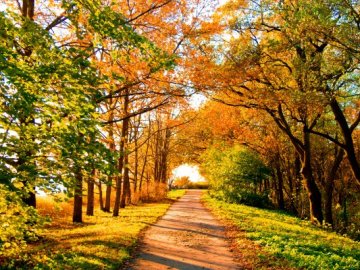 На Україну «суне»  похолодання