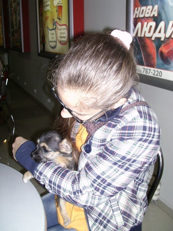 У Луцьку запровадили «уроки» гуманності