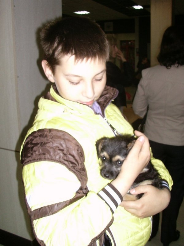 У Луцьку запровадили «уроки» гуманності