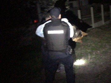 У Рівному вівчарка пошматувала свого господаря