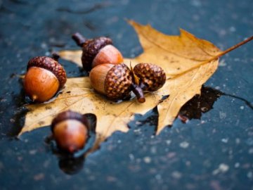 В Україну суне похолодання