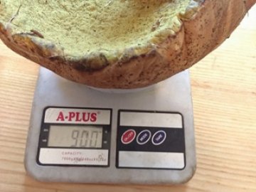 На Волині знайшли гриб вагою майже кілограм. ФОТО