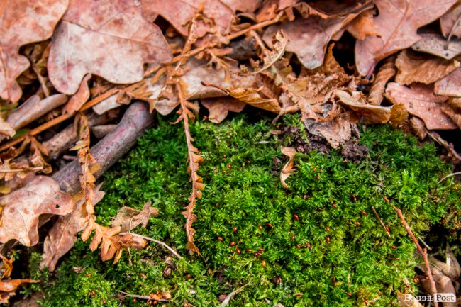 Перший день весни у «волинській Швейцарії». ФОТОРЕПОРТАЖ