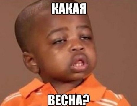 Апокаліптичний Київ і білі ведмеді: інтернет далі «смалить». Підбірка приколів №4