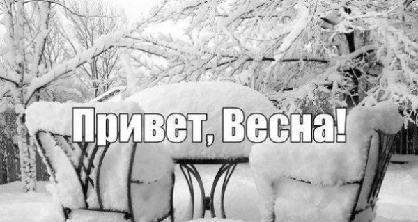 Апокаліптичний Київ і білі ведмеді: інтернет далі «смалить». Підбірка приколів №4