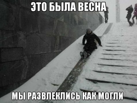 Апокаліптичний Київ і білі ведмеді: інтернет далі «смалить». Підбірка приколів №4