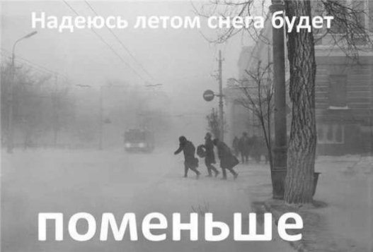 Апокаліптичний Київ і білі ведмеді: інтернет далі «смалить». Підбірка приколів №4