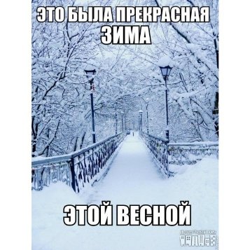 Апокаліптичний Київ і білі ведмеді: інтернет далі «смалить». Підбірка приколів №4