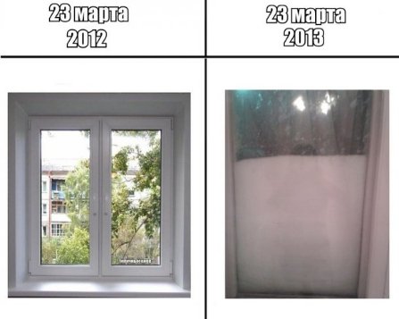 Апокаліптичний Київ і білі ведмеді: інтернет далі «смалить». Підбірка приколів №4