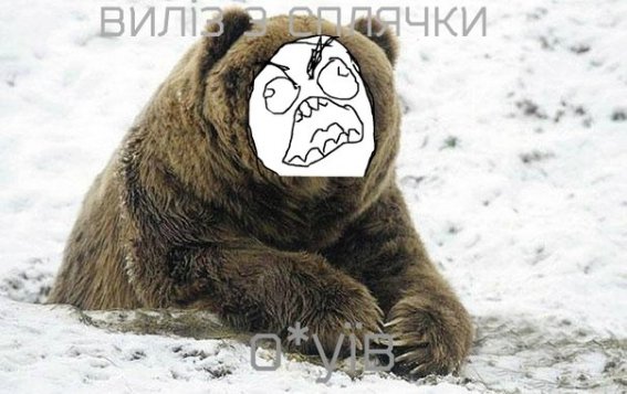 Апокаліптичний Київ і білі ведмеді: інтернет далі «смалить». Підбірка приколів №4
