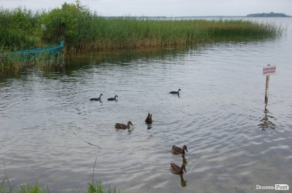 Як відпочивають в університетському таборі на Світязі. ФОТО