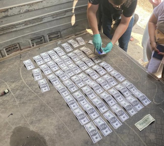 Свої послуги оцінювала у 5500 доларів: 26-річна волинянка переправляла ухилянтів за кордон