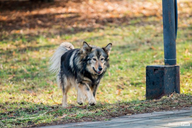У Луцьку – майже весна. ФОТОРЕПОРТАЖ