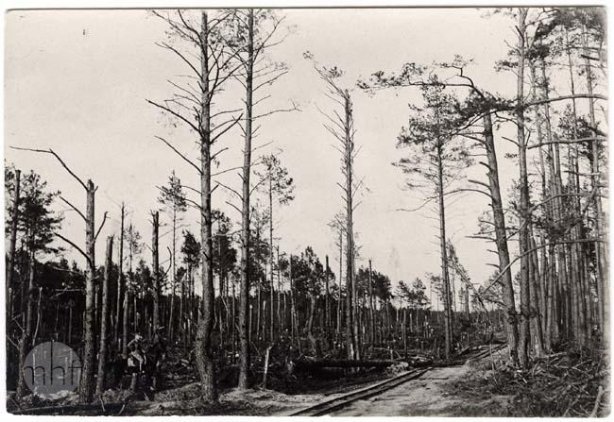 Легіонери та кінотеатр для військових: Волинь на столітніх світлинах