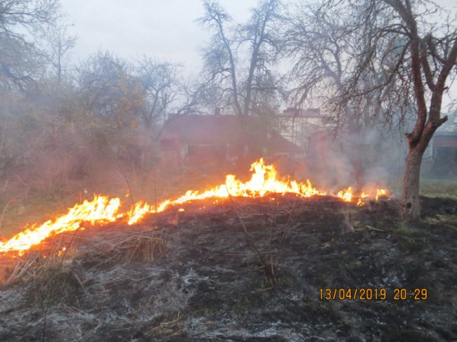 Вогонь вже підбирався до будинку: у Луцьку через палія сухостою ледь не загорілась хата. ФОТО