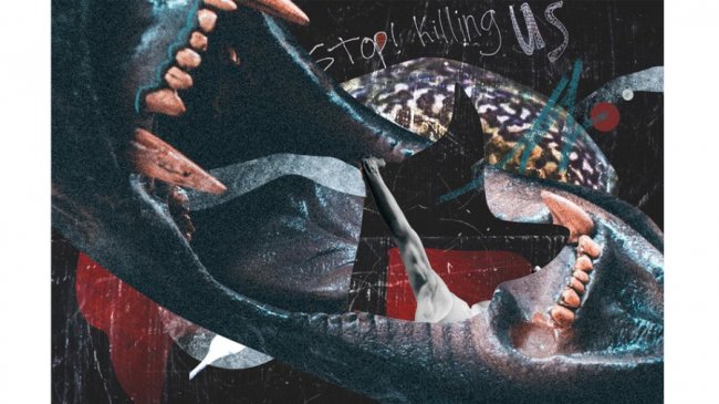 Лучанка створює незвичайні колажі зі звуків, форм та рухів. ФОТО. ВІДЕО