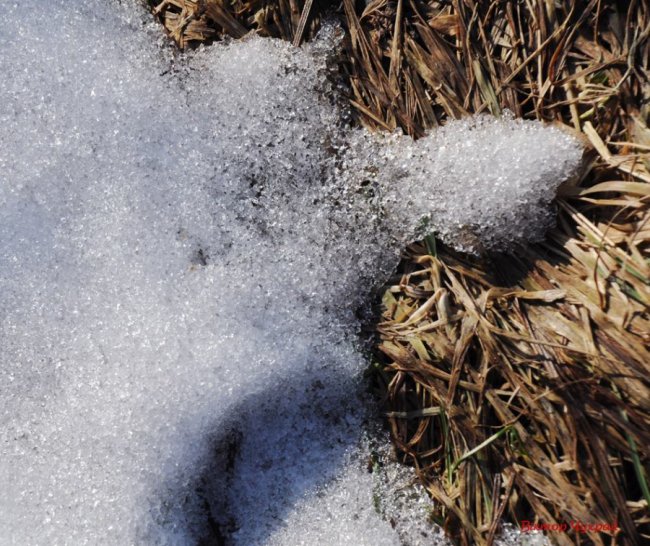 Луцький фотограф показав, де «лютневе сонечко лоскоче вії»