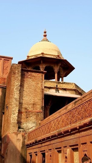 Індія очима лучанки