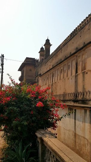 Індія очима лучанки