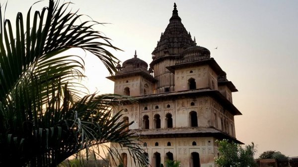 Індія очима лучанки