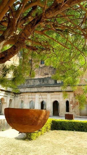 Індія очима лучанки