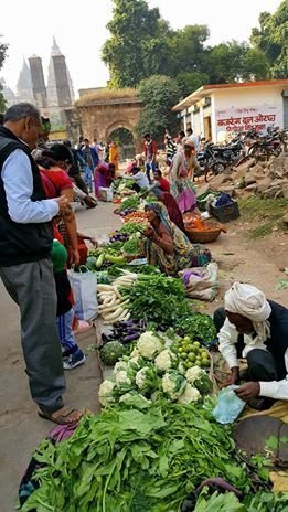 Індія очима лучанки