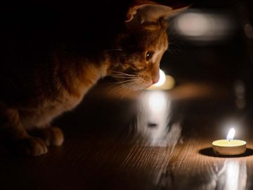 «Нас мають за худобу»: у селі на Волині зникає світло після кожного дощу