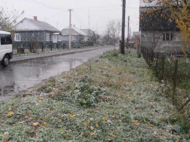 Мокрий і лапатий: на Волині - сніг. ФОТО