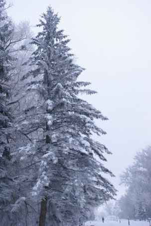 Автор - Подгурець Аннна