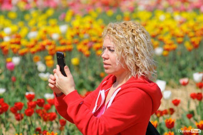 Мільйони тюльпанів і сотні гостей: день поля у «Волинській Голландії». ФОТО