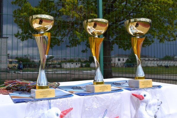 На «Олімпійське лелеченя» до Києва поїдуть юні спортсмени з Маневич. ФОТО