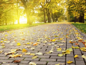 Погода в Луцьку та Волинській області на четвер, 3 вересня