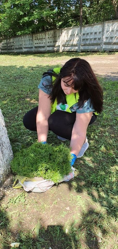 У Луцьку заквітчали зупинку: закликають підтримати ініціативу, щоб зробити місто зеленішим