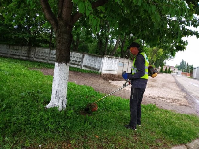 У Луцьку заквітчали зупинку: закликають підтримати ініціативу, щоб зробити місто зеленішим