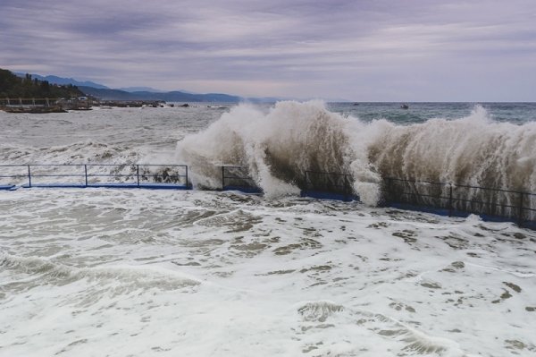 Фотовиставка Олександра Шишкіна