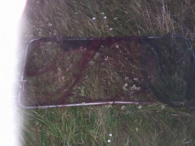 Волинський рибпатруль за один день викрив 7 браконьєрів. ФОТО