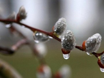 Якою буде погода у Луцьку та Волинській області завтра, 13 лютого