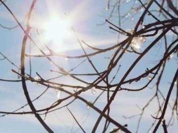 Погода в Луцьку та Волинській області на вівторок, 19 лютого