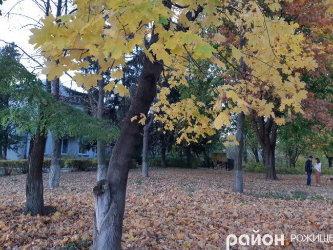 Місто на Волині восени: жовто-багряна краса. ФОТО