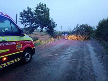 Волинські рятувальники показали наслідки негоди. ФОТО 
