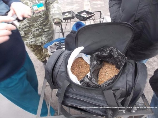 Прикордонники луцького загону затримали 12 кілограмів бурштину. ФОТО
