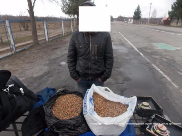 Прикордонники луцького загону затримали 12 кілограмів бурштину. ФОТО