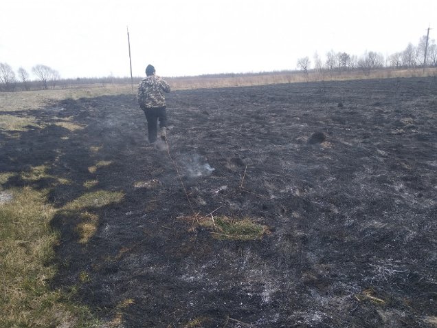 Волинські поліцейські та екологи ловили паліїв сухої трави