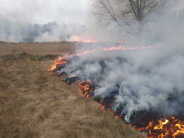 Волинські поліцейські та екологи ловили паліїв сухої трави