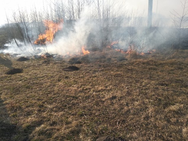 Волинські поліцейські та екологи ловили паліїв сухої трави